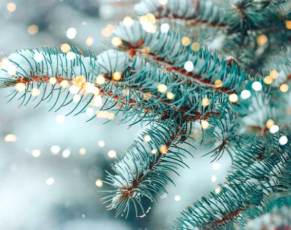 Frohe Weihnachten