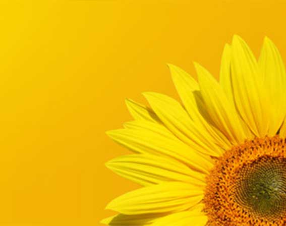 Eco Cosmetics