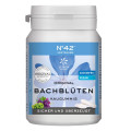 ENERGIE KAUGUMMI nach Dr.Bach