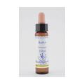 BACHBLÜTEN Aspen Healing Herbs Tropfen