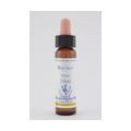 BACHBLÜTEN Walnut Healing Herbs Tropfen