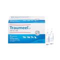 TRAUMEEL LT ad us.vet.Ampullen