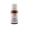 LEDUM PALUSTRE C 30 Globuli