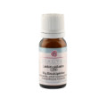 LEDUM PALUSTRE C 200 Globuli