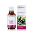 GEMMO Mazerat schwarze Johannisbeere Dr.Koll Ribes