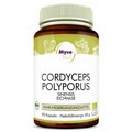 CORDYCEPS POLYPORUS Bio Pilzpulver-Kapseln