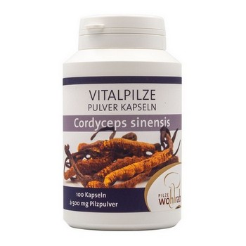 CORDYCEPS PULVER Kapseln