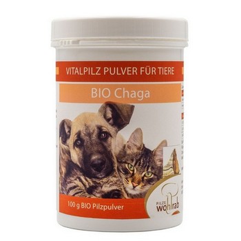 CHAGA BIO Vitalpilz Pulver für Tiere