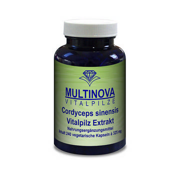 CORDYCEPS EXTRAKT Kapseln