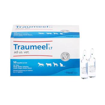 TRAUMEEL LT ad us.vet.Ampullen