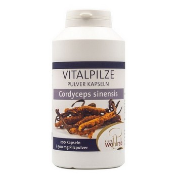 CORDYCEPS SINENSIS Vitalpilze Pulver-Kapseln