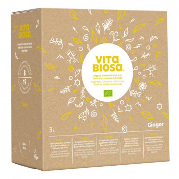 VITA BIOSA Ingwer Kräuterfermentgetränk