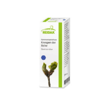GEMMOMAZERAT Quercus robur Spray