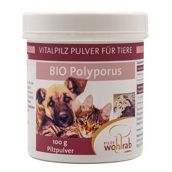 POLYPORUS BIO Einzelfuttermittel Pulver f.Tiere