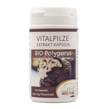 POLYPORUS BIO Extrakt Kapseln