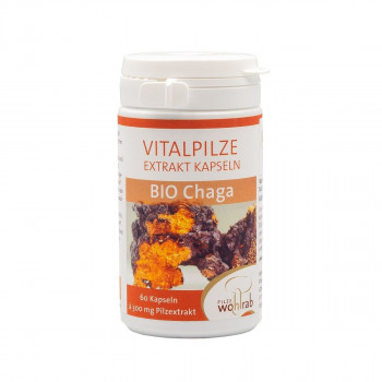 CHAGA BIO Extrakt Kapseln