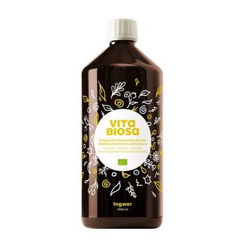 VITA BIOSA Ingwer flüssig inkl.25 ct Pfand