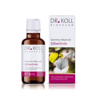 GEMMO Mazerat Silberlinde Dr.Koll Tilia tomentosa