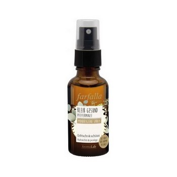 MUNDHYGIENE Spray Bleib gesund Pfefferminze