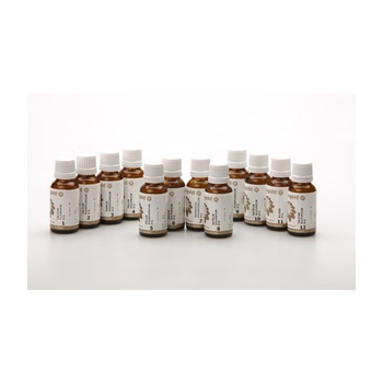 Schüssler Salze 12er Set Globuli Nr. 1- 12, 12x20 g